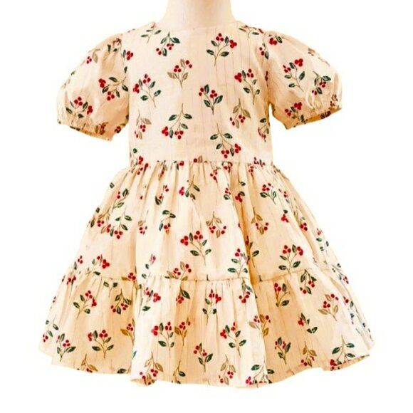Carter's Girl's Holly Berry Dress 2T Ruffle Silver Weave Short Puff Sleeve Lined - Picture 1 of 9
